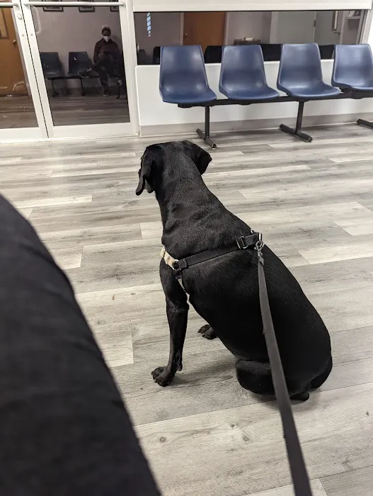 Thrive Pet Healthcare - Catonsville Picture 2