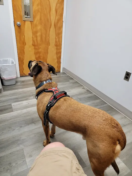 Thrive Pet Healthcare - Catonsville Picture 7