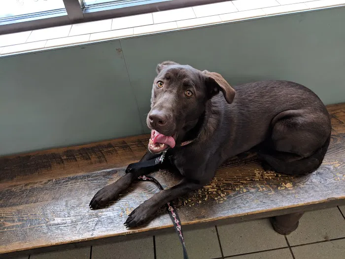 Paradise Animal Hospital Picture 2