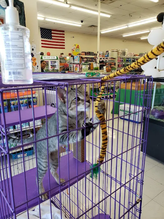 Pet Supplies Plus Lake Park Picture 3