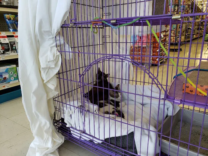 Pet Supplies Plus Lake Park Picture 6