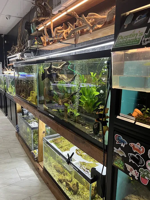 Badfish Florida LLC Picture 1