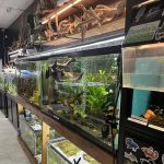 Badfish Florida LLC