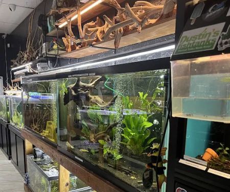 Badfish Florida LLC