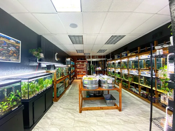 Badfish Florida LLC Picture 4