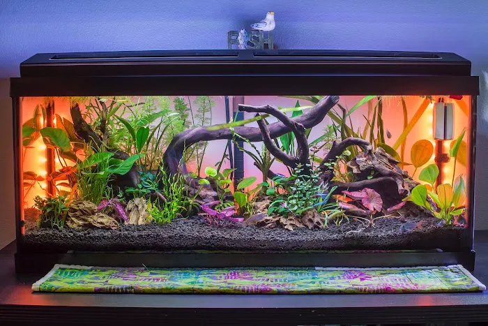 Badfish Florida LLC Picture 2