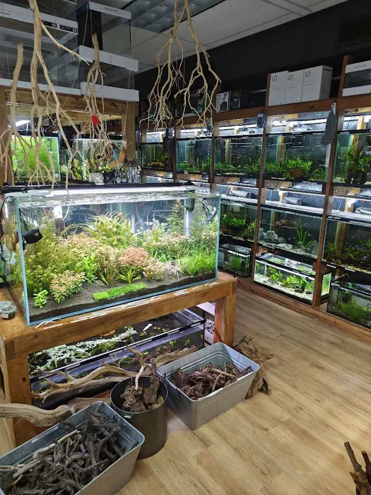 Badfish Florida LLC Picture 7
