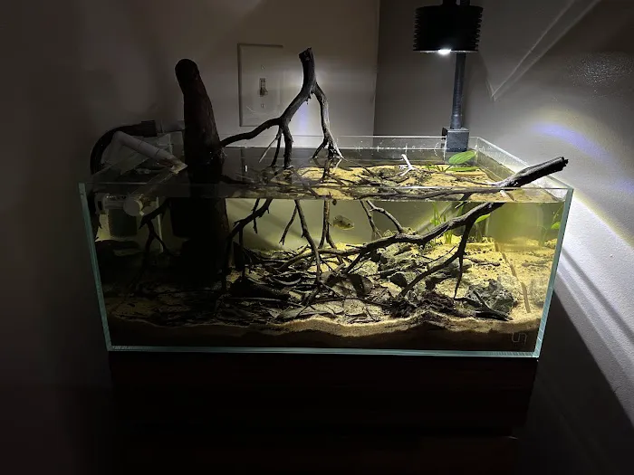 Badfish Florida LLC Picture 5