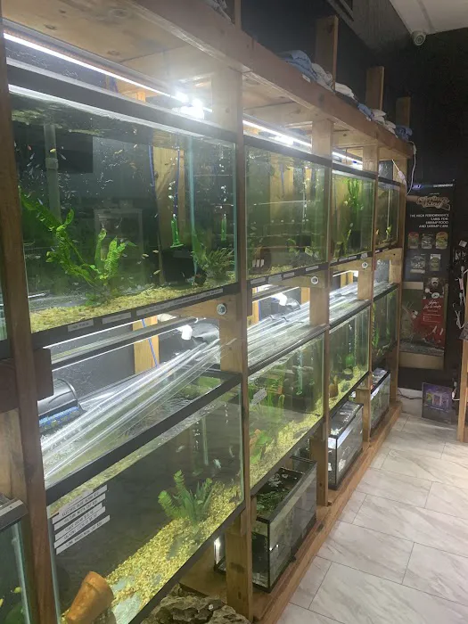 Badfish Florida LLC Picture 10