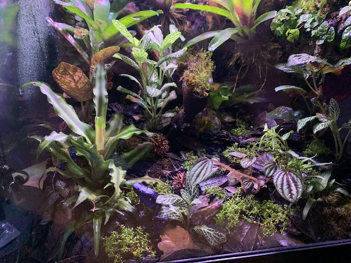 Badfish Florida LLC Picture 8