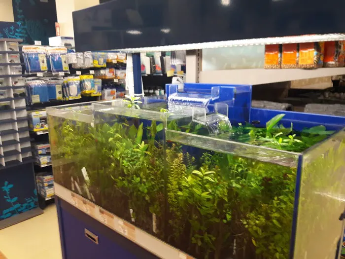 Petco Picture 9