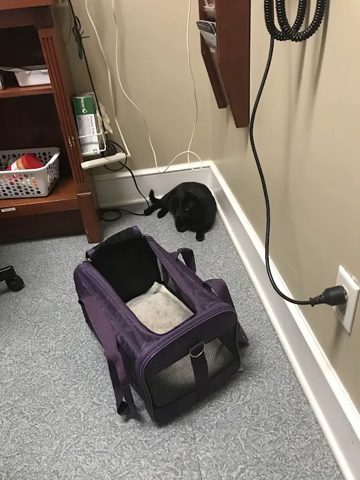 Doc·Side Veterinary Medical Center Picture 10