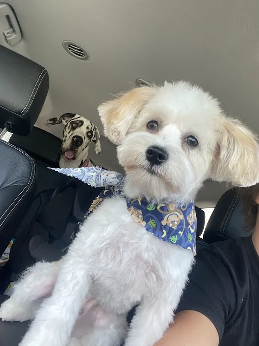 Woof Gang Bakery & Grooming Palm Beach Gardens Picture 10