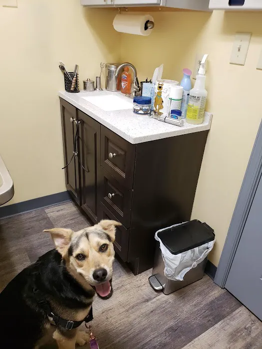 Pickles Light Street Animal Hospital Picture 1