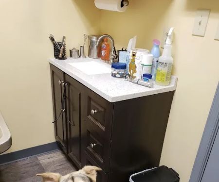 Pickles Light Street Animal Hospital