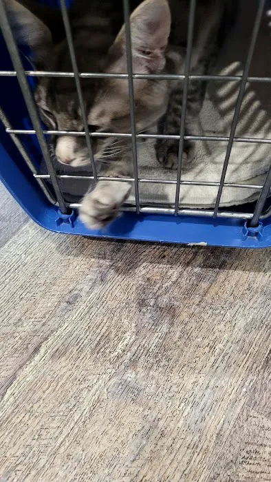 Pickles Light Street Animal Hospital Picture 7