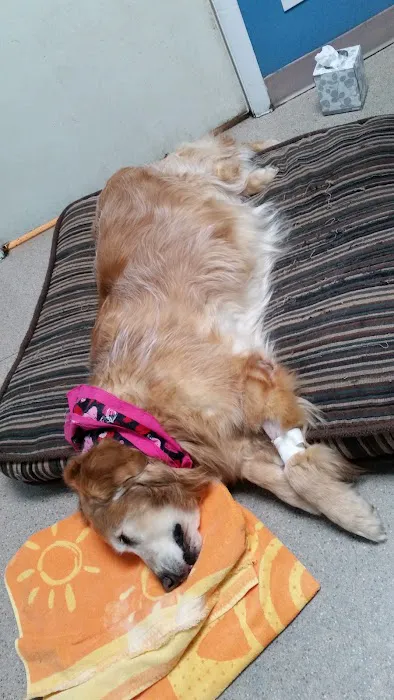 Pickles Light Street Animal Hospital Picture 10