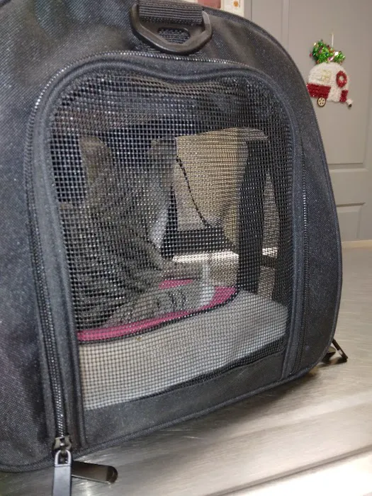 Pickles Light Street Animal Hospital Picture 9
