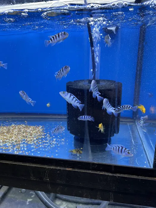 Aquarium shop Picture 1