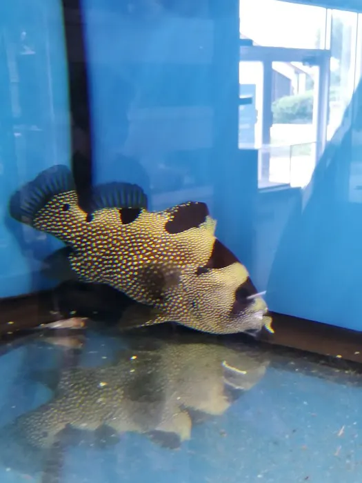 Aquarium shop Picture 2