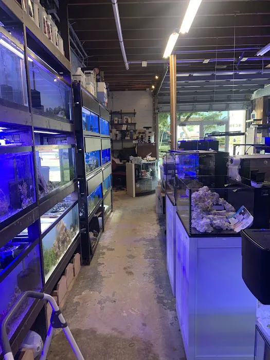 Aquarium shop Picture 3