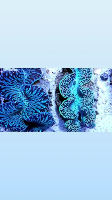 Aquarium shop Picture 4