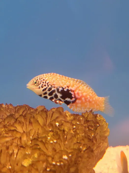 Aquarium shop Picture 6