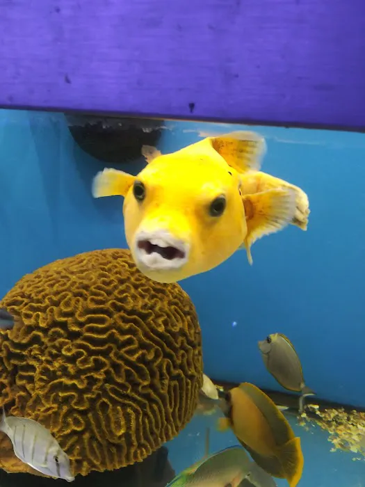 Aquarium shop Picture 5