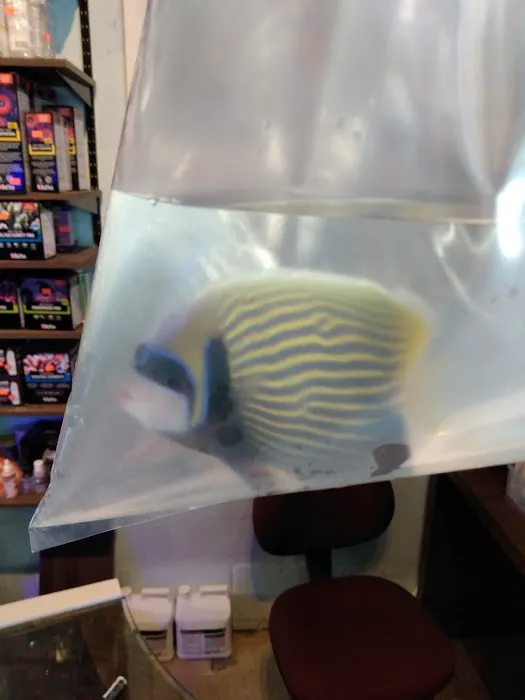 Aquarium shop Picture 8