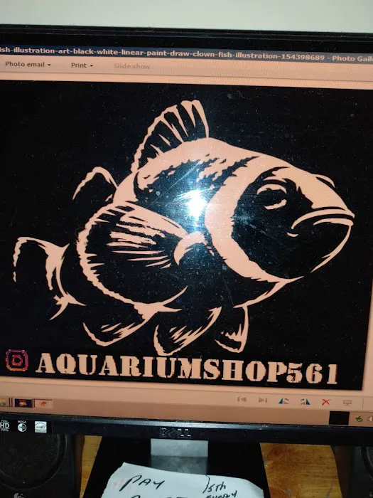Aquarium shop Picture 9