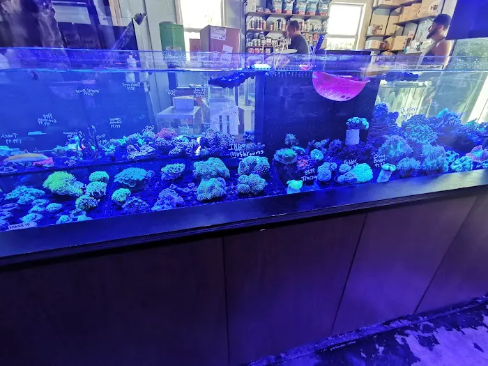 Aquarium shop Picture 10