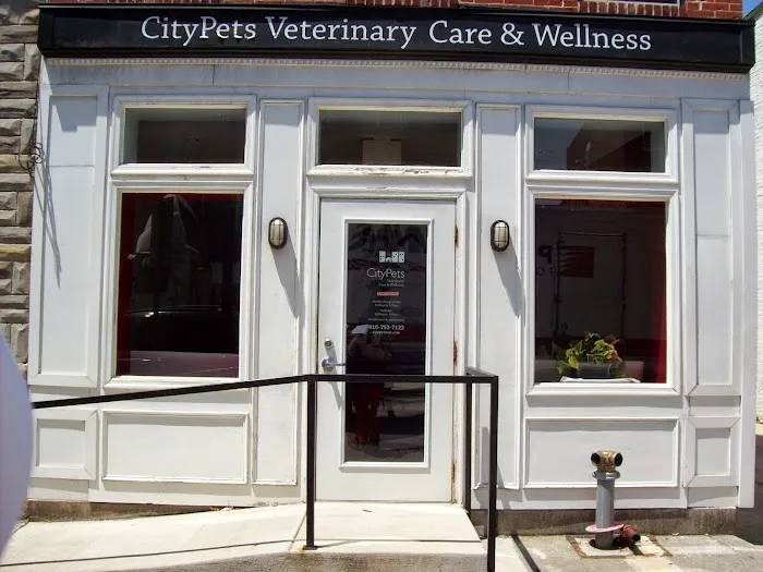 CityPets Veterinary Care & Wellness Picture 3