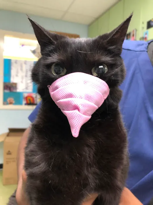 Swan Harbor Animal Hospital Picture 5