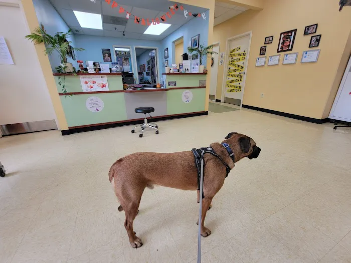 Swan Harbor Animal Hospital Picture 6