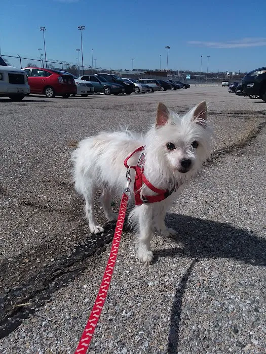 Swan Harbor Animal Hospital Picture 4