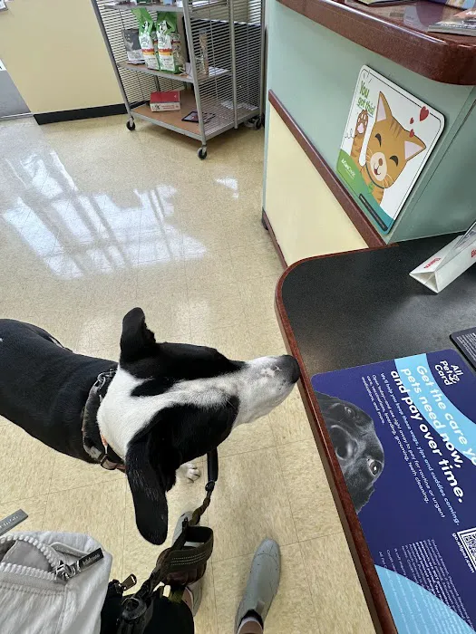 Swan Harbor Animal Hospital Picture 10