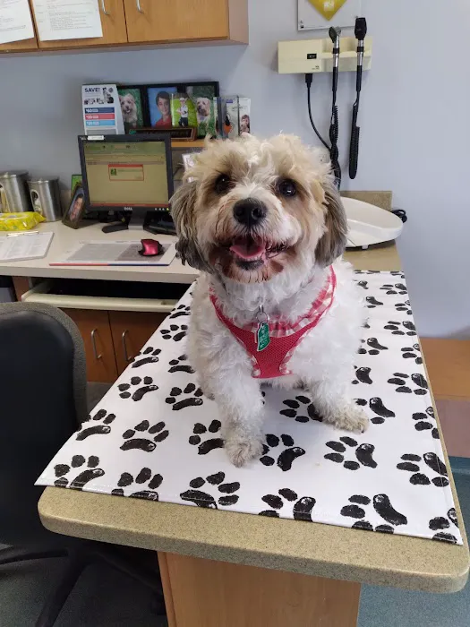 Huffard Animal Hospital Picture 2