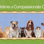 Huffard Animal Hospital