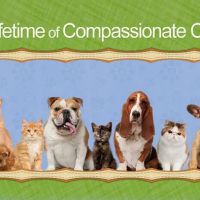 Huffard Animal Hospital ico