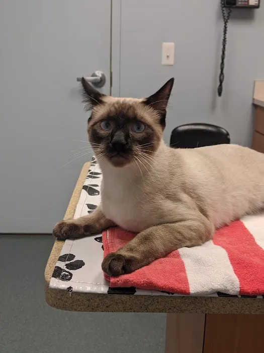 Huffard Animal Hospital Picture 8