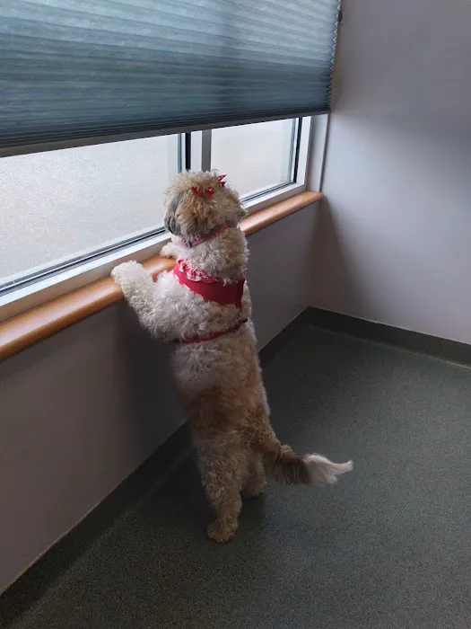 Huffard Animal Hospital Picture 9