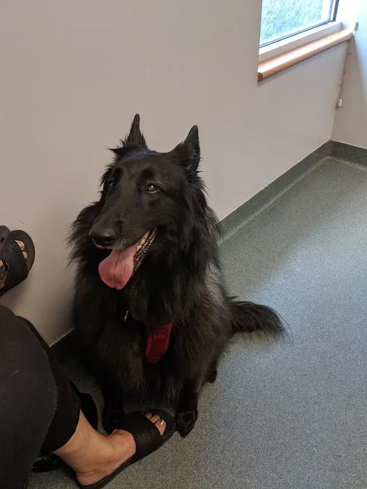 Huffard Animal Hospital Picture 10