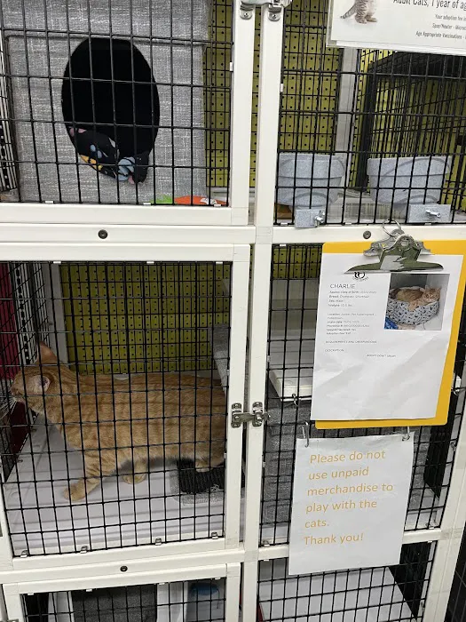 Pet Supermarket Picture 2