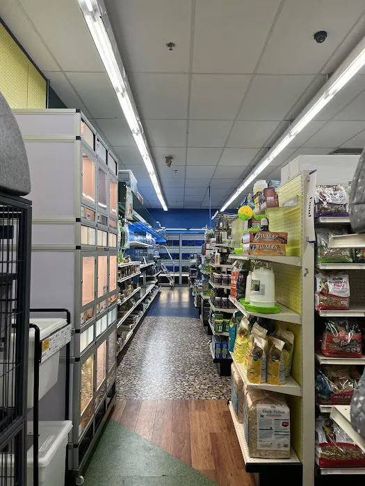 Pet Supermarket Picture 3