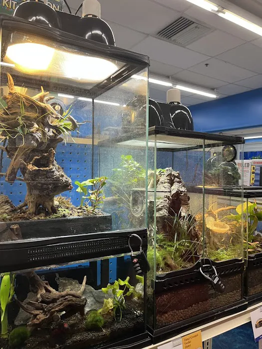 Pet Supermarket Picture 5