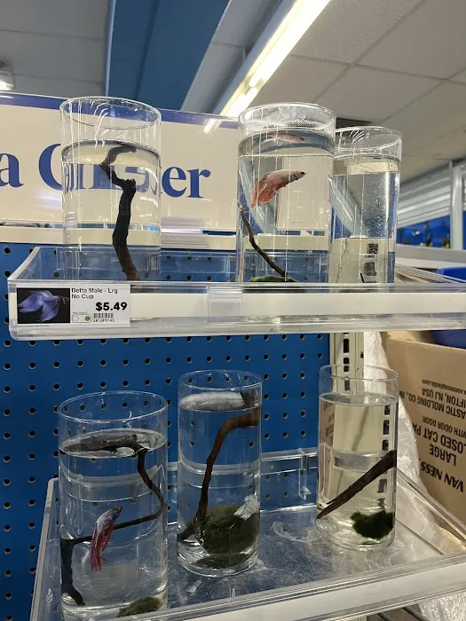 Pet Supermarket Picture 9