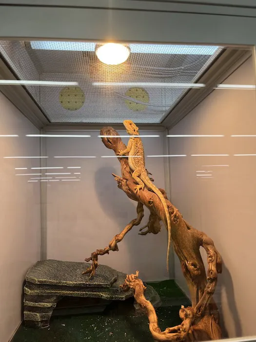 Pet Supermarket Picture 7