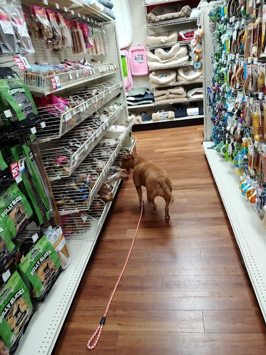 Pet Supermarket Picture 2