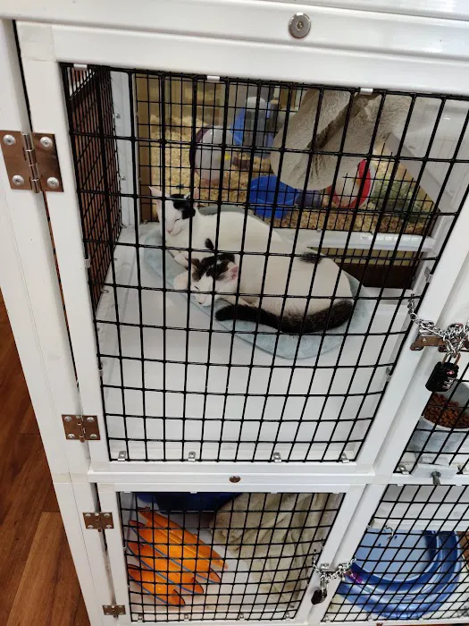 Pet Supermarket Picture 5