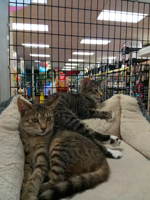 Pet Supermarket Picture 6